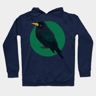 Starling Hoodie